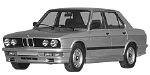 BMW E28 C2545 Fault Code