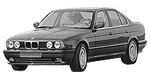 BMW E34 C2545 Fault Code